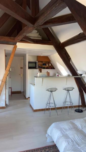 Charmant studio cosy et lumineux à 40 min de Paris